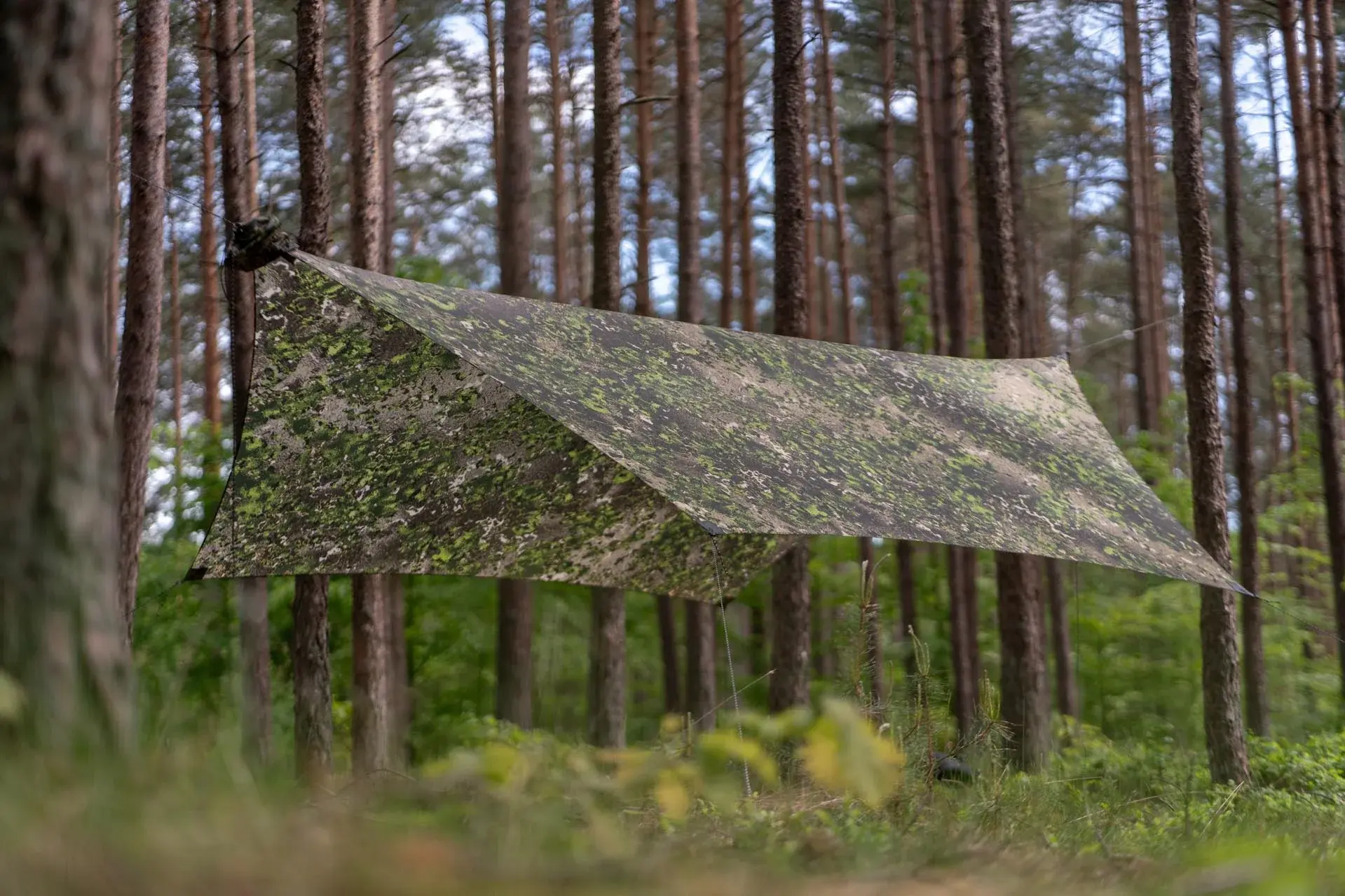 Lesovik Heksa Tarp FARBA F2 Terskog