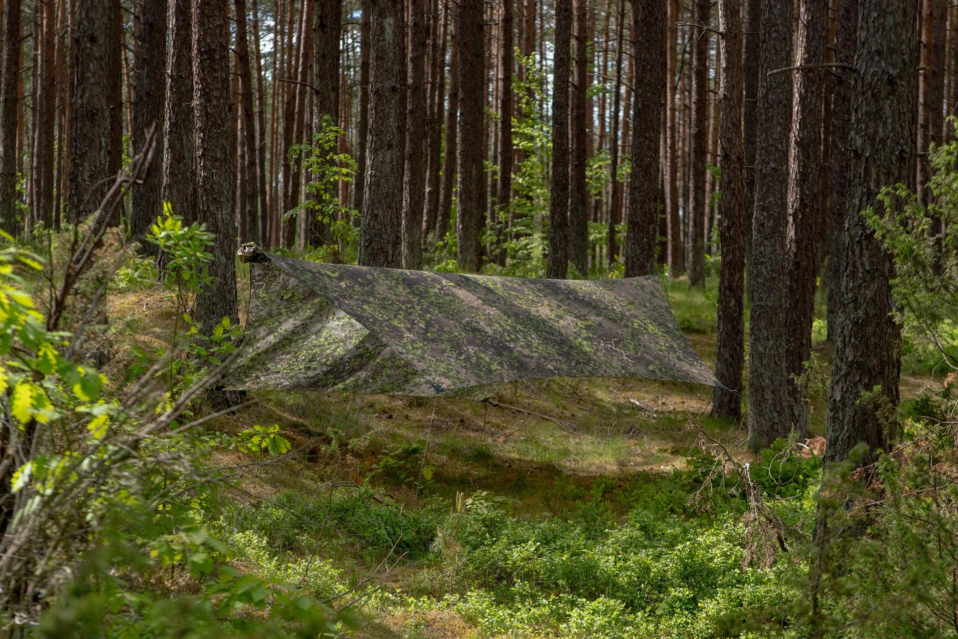 Lesovik Heksa Tarp FARBA F2 Terskog